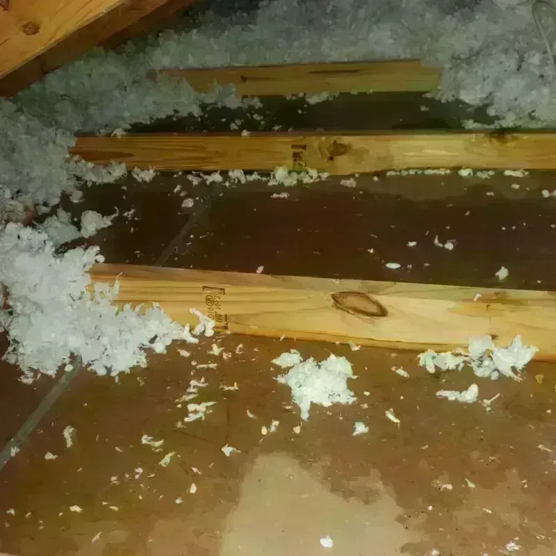 Attic Water Damage in Everett, PA