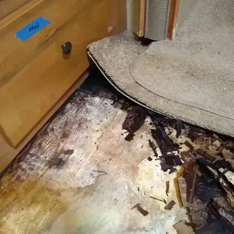 Best Wood Floor Water Damage Service in Everett, PA